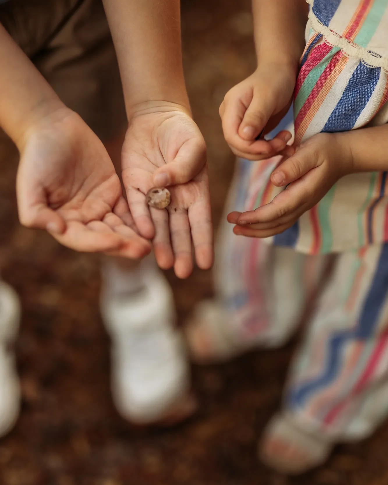 Two children's hands outdoors; one holds out a small shell found on the ground.