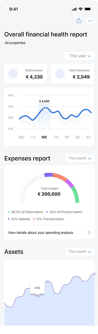 Wireframe: overall financial health report with summary figures, a line chart and an expenses gauge.